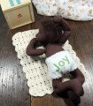 Waldorf baby with embroidered diaper