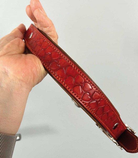 Leather collar for large dogs