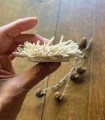 Micro crochet brooch