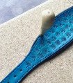 Blue leather greyhound collar